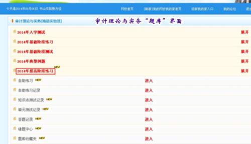 2014初級(jí)審計(jì)師《審計(jì)理論與實(shí)務(wù)》“我的題庫(kù)”界面