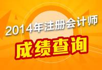 2014年注冊會計(jì)師成績查詢