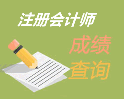 注冊(cè)會(huì)計(jì)師成績(jī)查詢