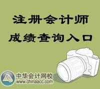 2014年注冊(cè)會(huì)計(jì)師成績(jī)查詢?nèi)肟? width=