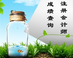 注冊(cè)會(huì)計(jì)師成績查詢時(shí)間