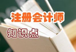 注冊會計(jì)師知識點(diǎn)匯總