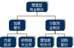 公司戰(zhàn)略與風(fēng)險管理知識點(diǎn)