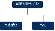 公司戰(zhàn)略與風(fēng)險管理知識點(diǎn)