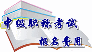 四川省2016年中級(jí)會(huì)計(jì)職稱考試報(bào)名費(fèi)用