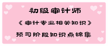 2017年初級審計師《審計專業(yè)相關知識》預習階段知識點匯總