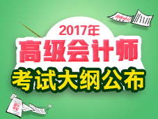 2017年高級會(huì)計(jì)師考試《高級會(huì)計(jì)實(shí)務(wù)》考試大綱