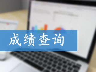 2017年高級會(huì)計(jì)師《高級會(huì)計(jì)實(shí)務(wù)》考試成績查詢時(shí)間