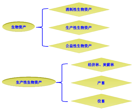 資產減值概述