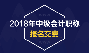 內蒙古阿拉善盟2018年中級會計職稱考試網(wǎng)上繳費時間及金額