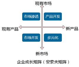 2018年《高級會計(jì)實(shí)務(wù)》知識點(diǎn)：企業(yè)戰(zhàn)略