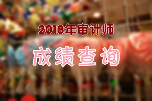 2018年審計(jì)專業(yè)技術(shù)初、中級(jí)資格成績(jī)什么時(shí)候可以查詢？