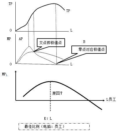 總產(chǎn)量、平均產(chǎn)量和邊際產(chǎn)量曲線