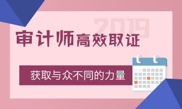 2019審計師考試時間確定