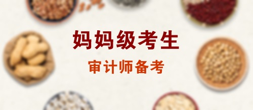 媽媽級(jí)考生審計(jì)師備考