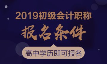 2019年初級會計職稱考試