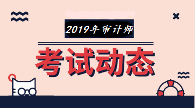 2019年審計(jì)師