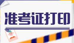 2019稅務(wù)師準考證打印