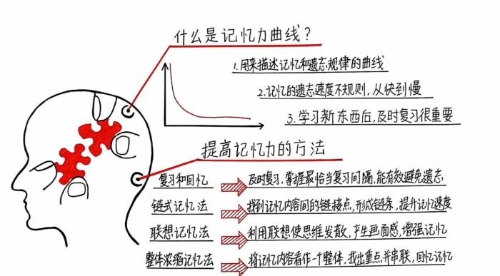 “注會知識點學(xué)完就忘怎么辦？如何能提高記憶力？