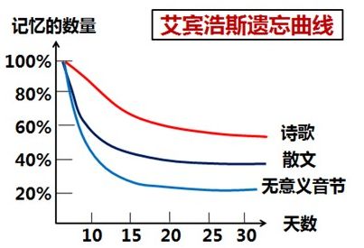 “注會知識點學(xué)完就忘怎么辦？如何能提高記憶力？