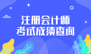 注冊會計師考試成績查詢