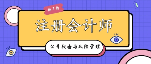 注冊會計師戰(zhàn)略練習題