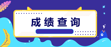 中級(jí)會(huì)計(jì)成績查詢