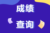 2019年重慶注冊會計(jì)師考試成績查詢時(shí)間哪天開始？