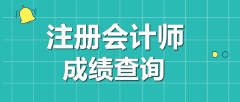 2019年浙江杭州注會(huì)成績(jī)查詢(xún)?nèi)肟谑裁磿r(shí)候開(kāi)通？