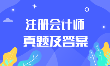 重慶考生快來看2019注會審計答案完整版！