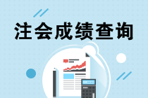 2019年河北廊坊注冊會計師成績查詢通道什么時候開通？