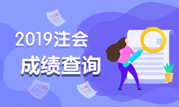 廣東廣州什么時候查詢2019年注會成績？