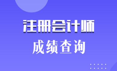 2019陜西銅川注冊會(huì)計(jì)師成績查詢時(shí)間