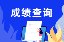 什么條件能申請2019注會成績復(fù)核？