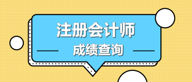 山東濟(jì)南注冊(cè)會(huì)計(jì)師成績(jī)查詢(xún)時(shí)間