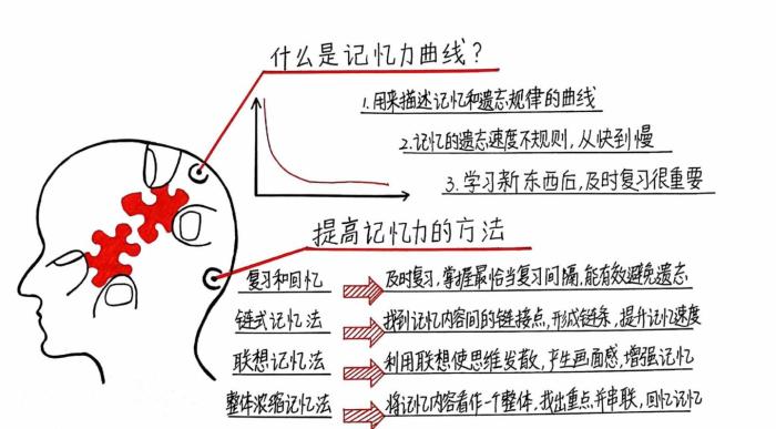 351記憶法 AICPA備考拒絕遺忘！