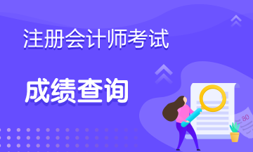 2019注會考試成績什么時候出來