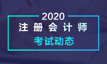 黑龍江2020年注會考試考什么？