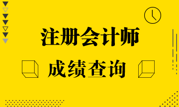 2019注冊會計師考試成績查詢