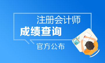 2020年山東注冊(cè)會(huì)計(jì)師成績(jī)查詢網(wǎng)址