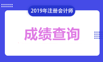 2019年遼寧注會考試成績可以查詢了！