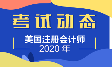 2020年美國注冊會計師考試形式