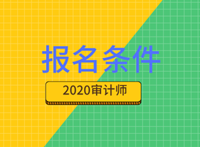 2020審計師報名條件