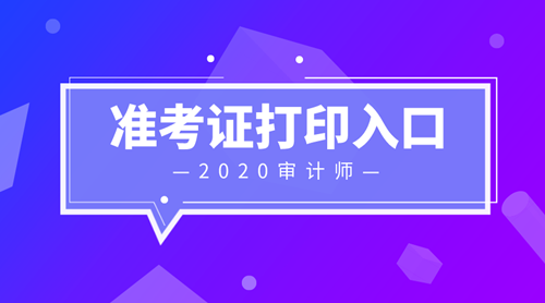 2020審計師準(zhǔn)考證打印入口