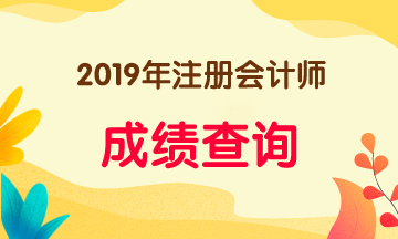 2019年上海注會(huì)考試成績(jī)查詢