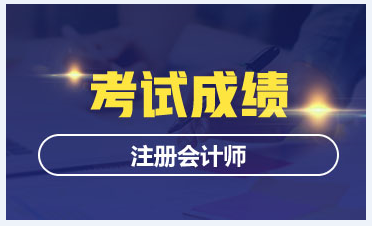 2019新疆烏魯木齊注會(huì)成績(jī)查詢