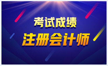 2019年海南海口CPA考試成績查詢?nèi)肟陂_通了！