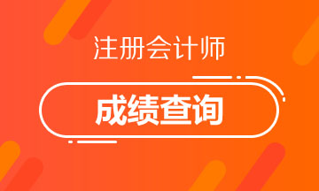 浙江麗水注冊會計師成績查詢