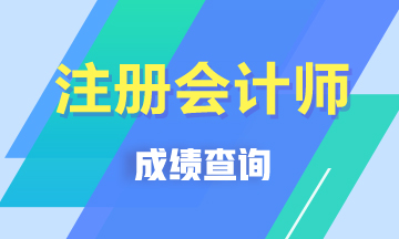 2019四川成都注冊會計師成績什么時間出？