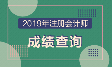 海南?？?019注冊會(huì)計(jì)師成績查詢